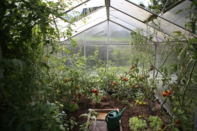 How to choose the right greenhouse for corps